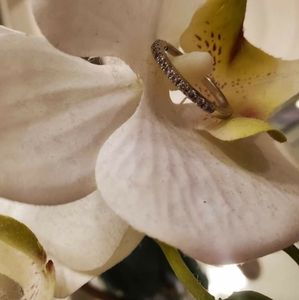 Women's Diamond Wedding Band